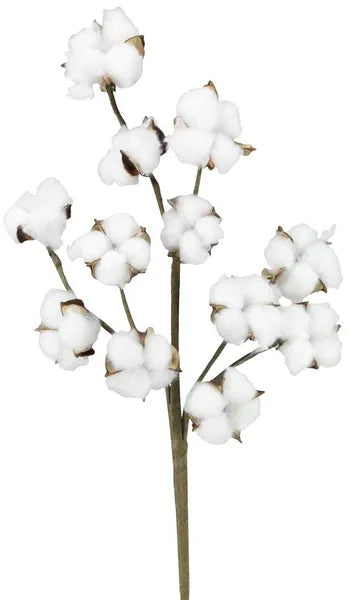 18.5"L POD SPRAY - NATURAL - FH7539