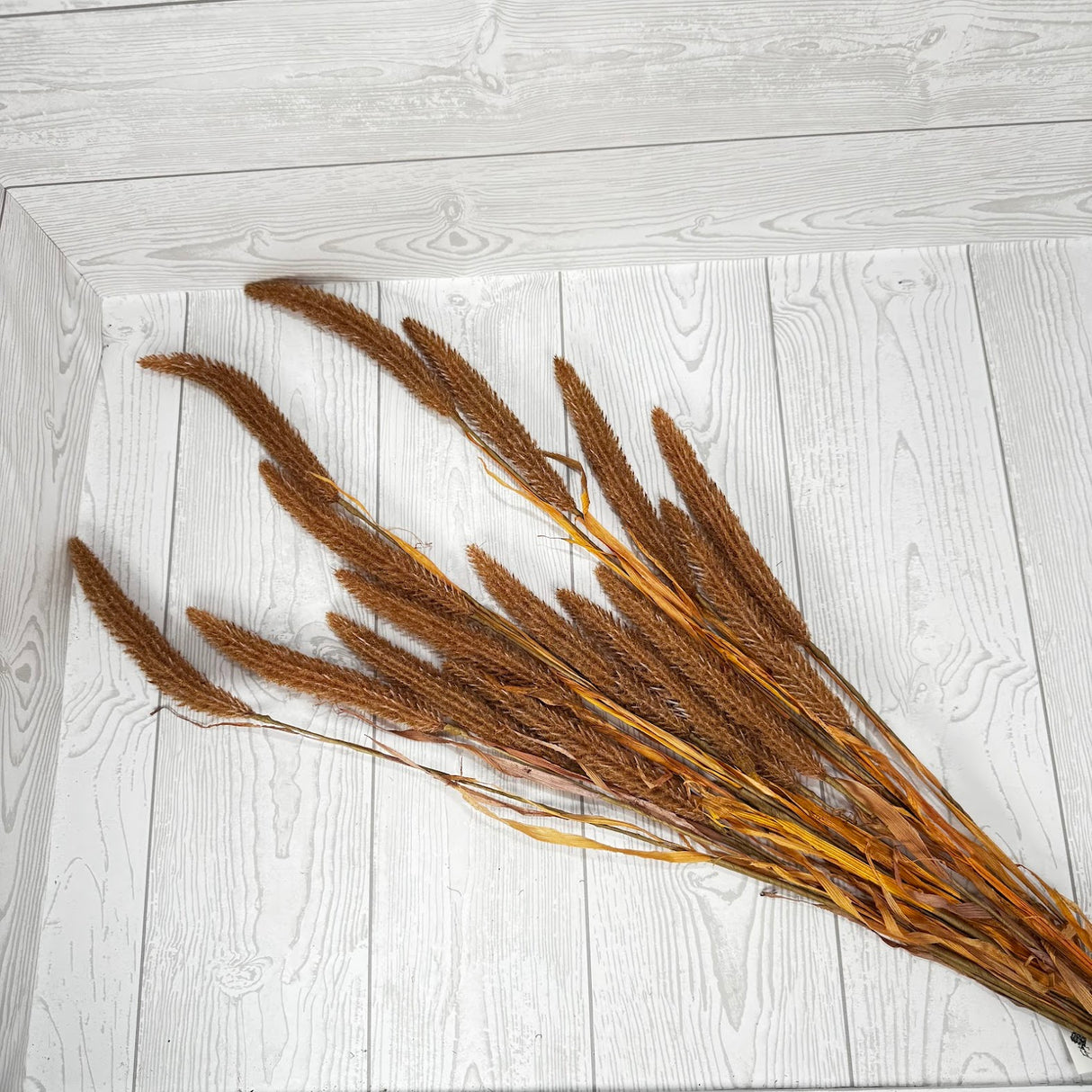 45" FOXTAIL BUNDLE - ORANGE - 27942 * DOUBLE ORANGE