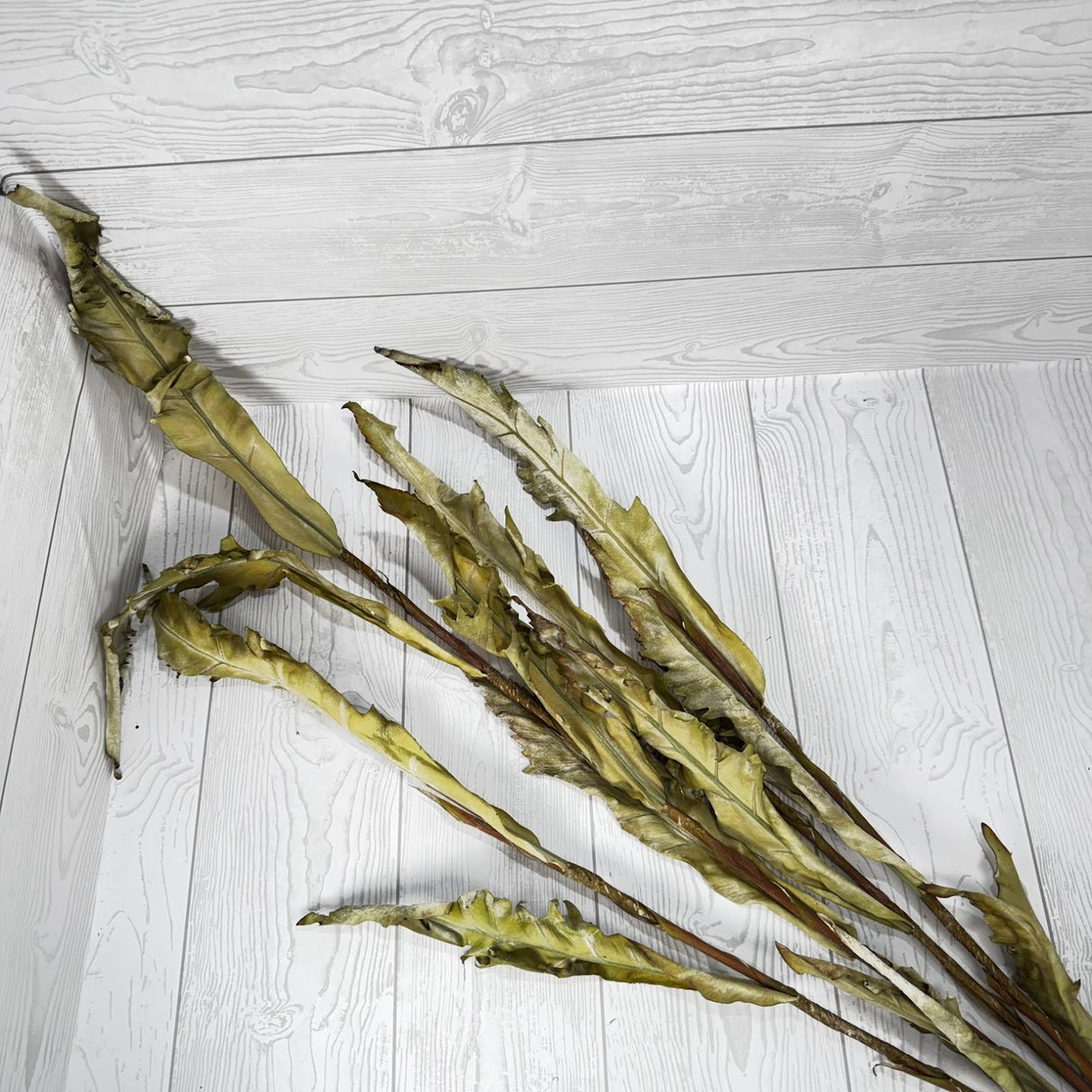 46.5" DRIED LEAVES BUNDLE - GREEN - 28100 * RED