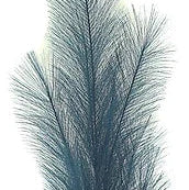 38"L FABRIC GRASS PLUME SPRAY - NAVY BLUE - FG601419