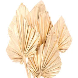 18-23"L PALM SPEAR BUNDLE X7 - GOLD - TT304808