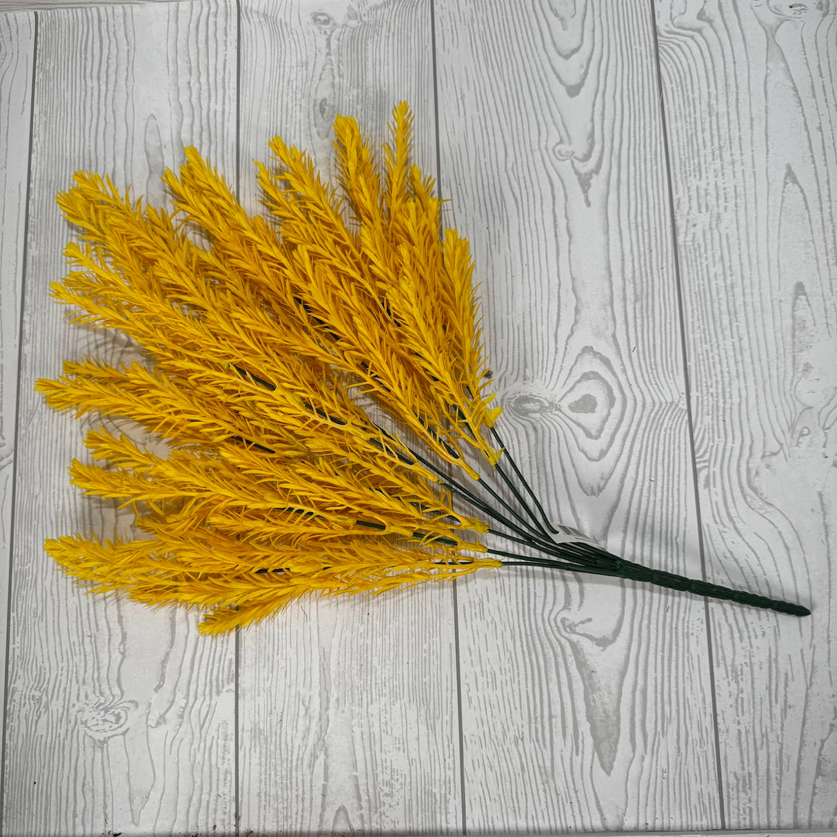 PLS ROSEMARY BSH X8 - YELLOW - 57757