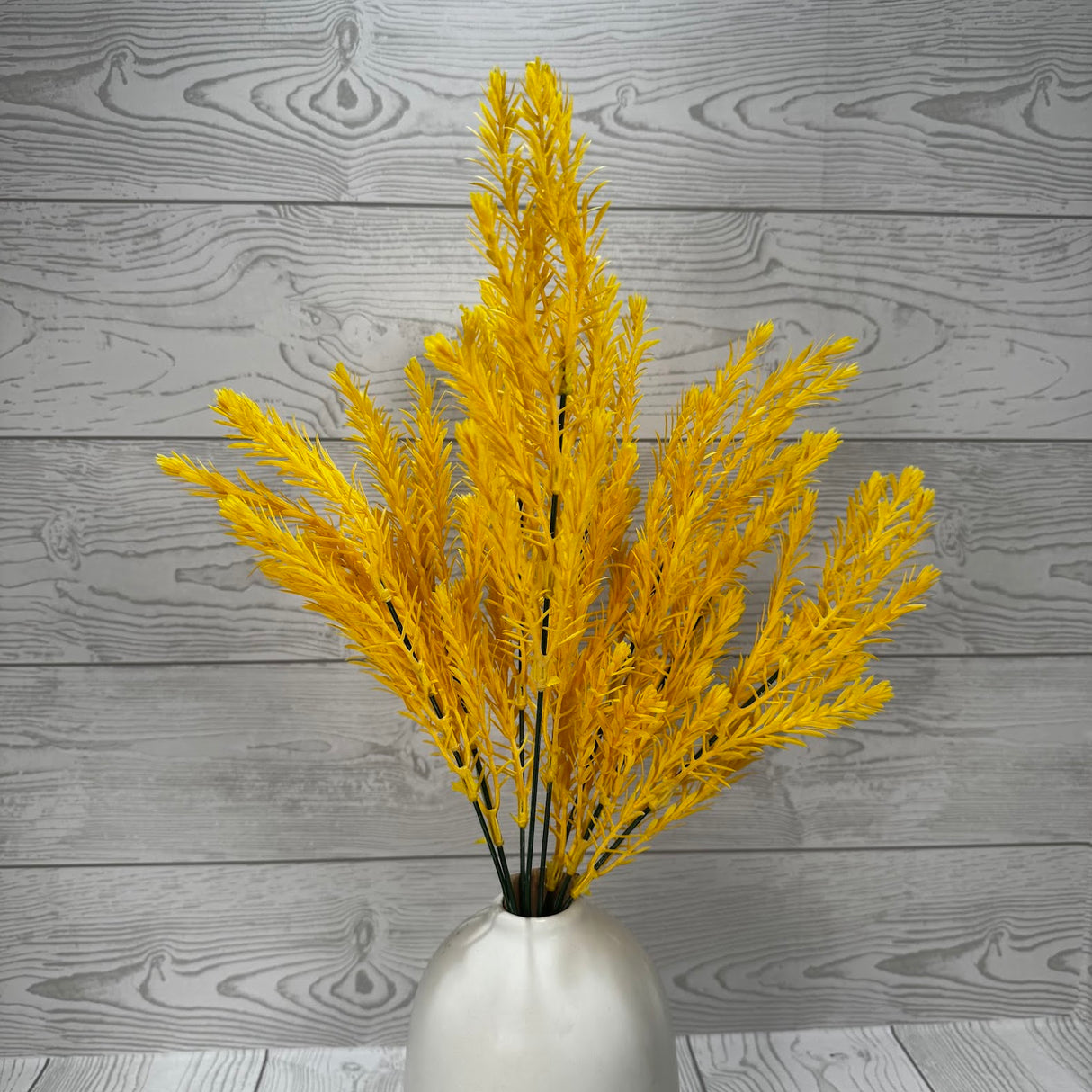 PLS ROSEMARY BSH X8 - YELLOW - 57757