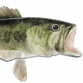 12"LX5.25"H METAL/EMBOSSED LARGE MOUTH BASS - MOSS GREEN/SAGE/CREAM - MD0607