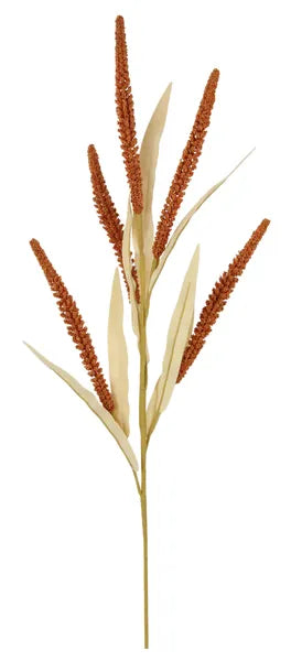 26.5"L SEED/PLUME STEM - BROWN - HA171804