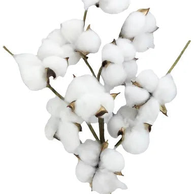 24"L SUPER POD SPRAY - NATURAL - FH7780