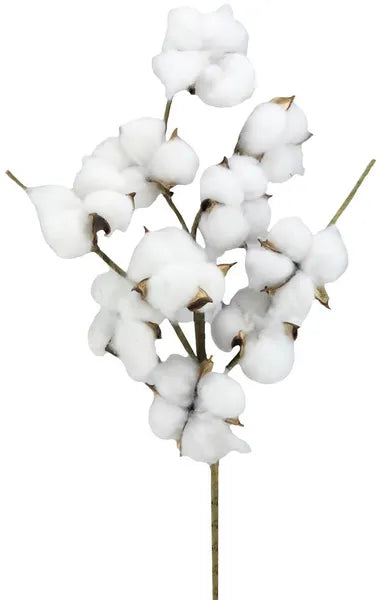 24"L SUPER POD SPRAY - NATURAL - FH7780