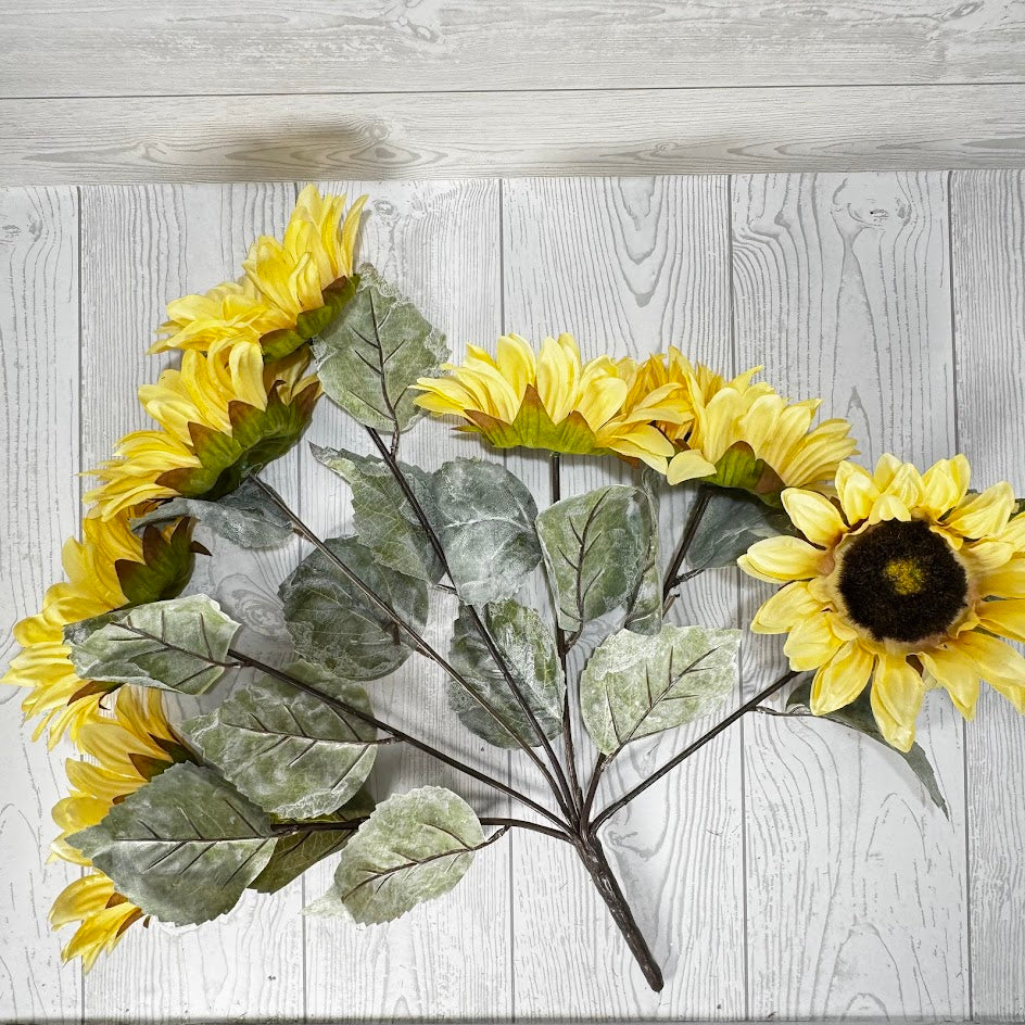 SUNFLOWER X7 - CREAM - AU20878-CRM *BL