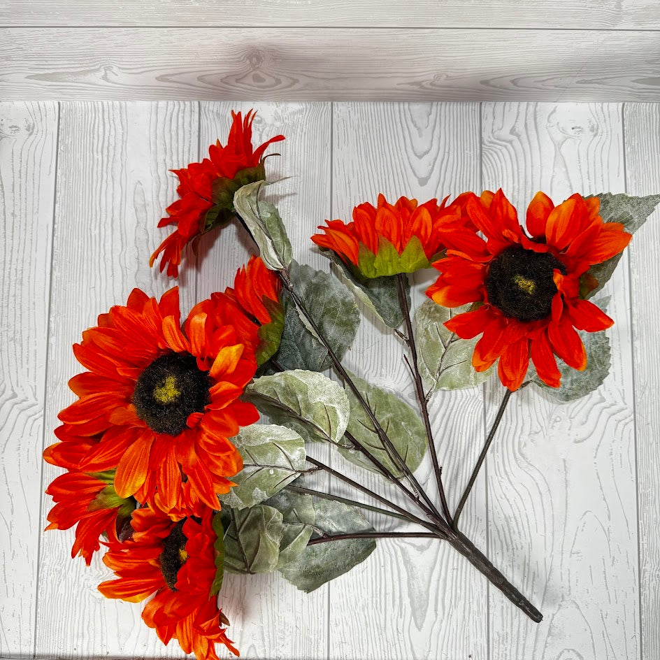 SUNFLOWER X7 - ORANGE - AU20878-OR *BL