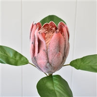 PROTEA SPRAY 22" - MAUVE - DC21032MV