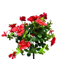 AZAELA BUSH 18" - RED - DCB6064RD