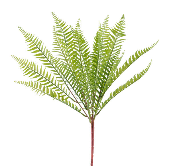 18.5"L PLASTIC BOSTON FERN BUSH - GREEN - FG652609