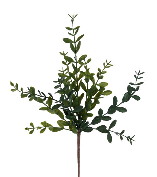 17"L WILD BOXWOOD PICK - GREEN - FG666309