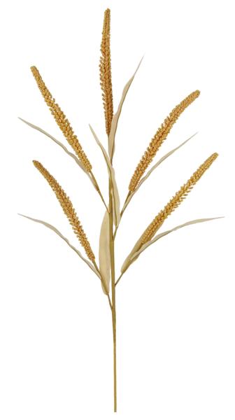 26.5"L SEED/PLUME STEM - BEIGE - HA171801