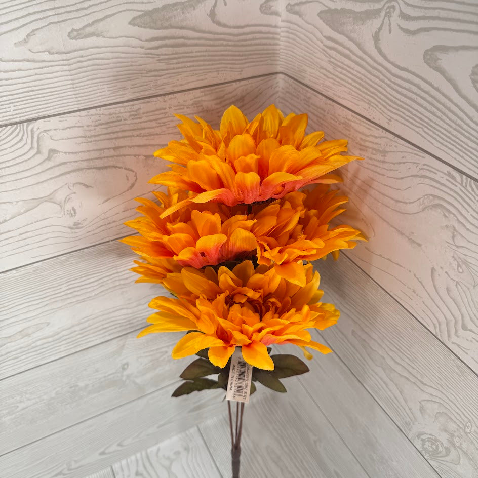 FALL DAHLIA X5 - YELLOW - 97321 * BR