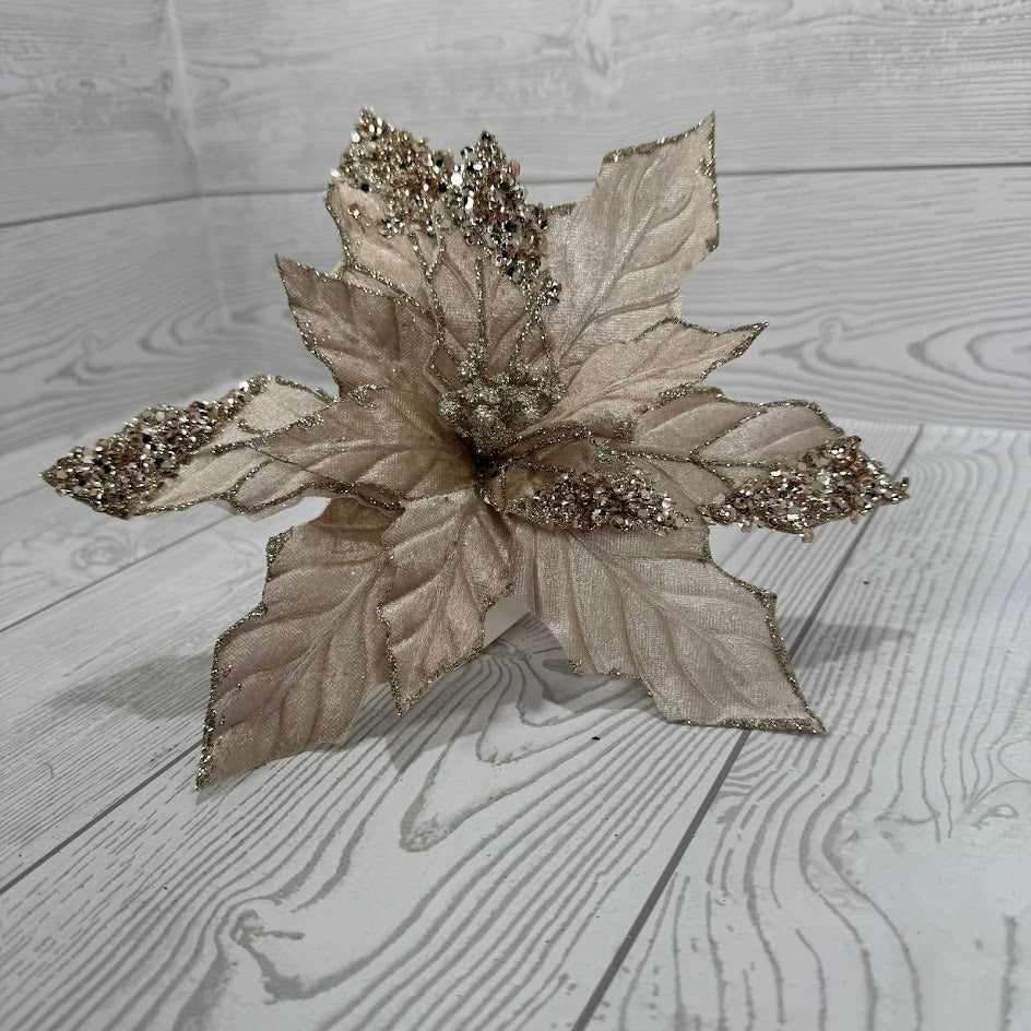 10"D POINSETTIA W/CLIP - X26473-CHAM * RD