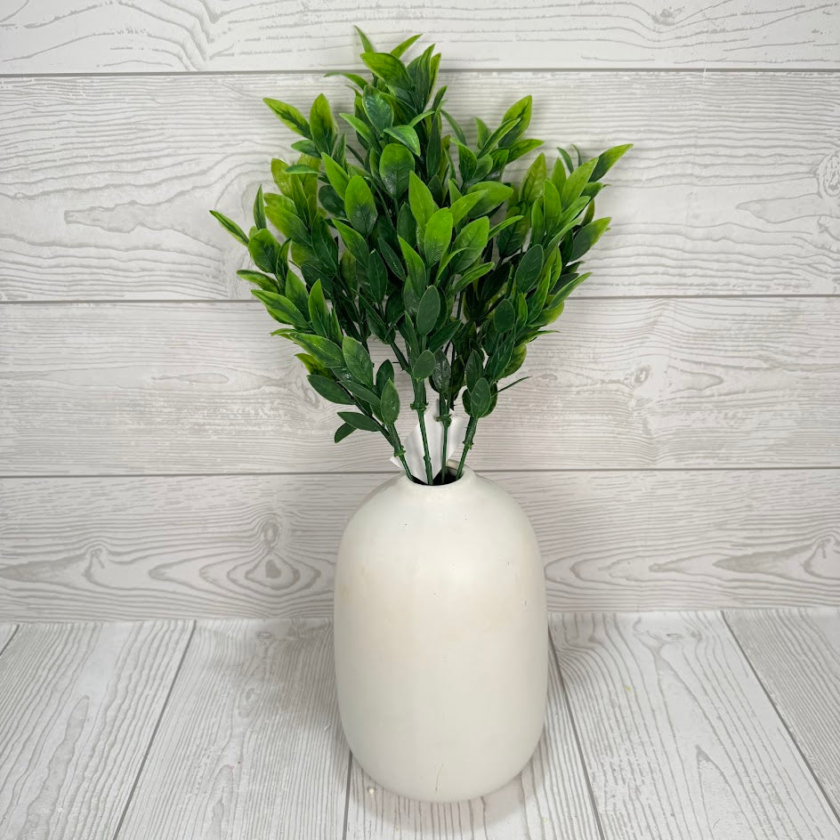 14IN BABY RUSCUS BUSH X5 - 84814