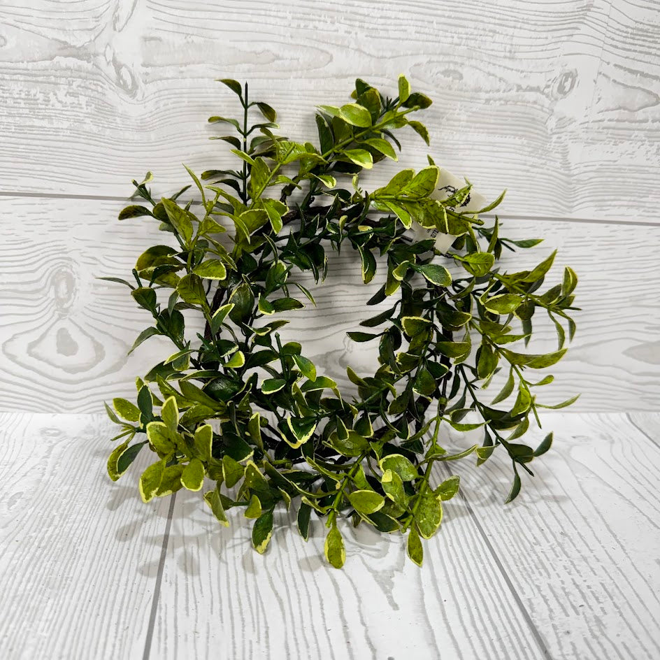 10" PRIVET CANDLE RING - GREEN - 28871 * R BR