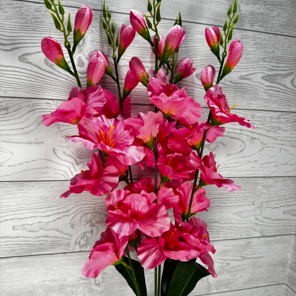 GLADIOLA BUSH X5 - PINK - B25025-PINK * RD
