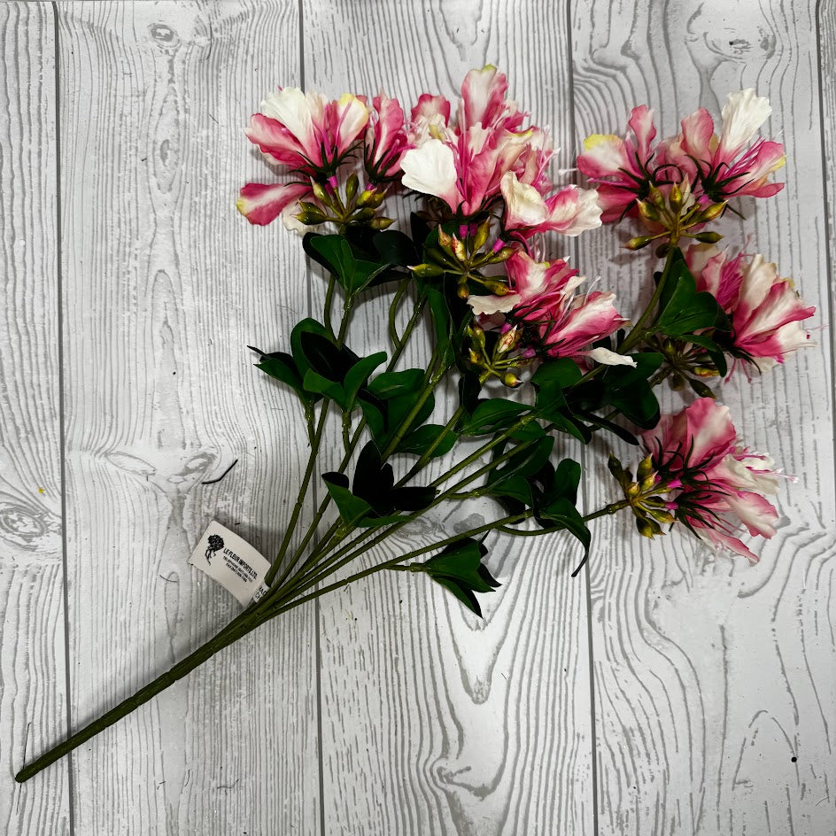 19" DELONIX SPRAY - PINK - 28409