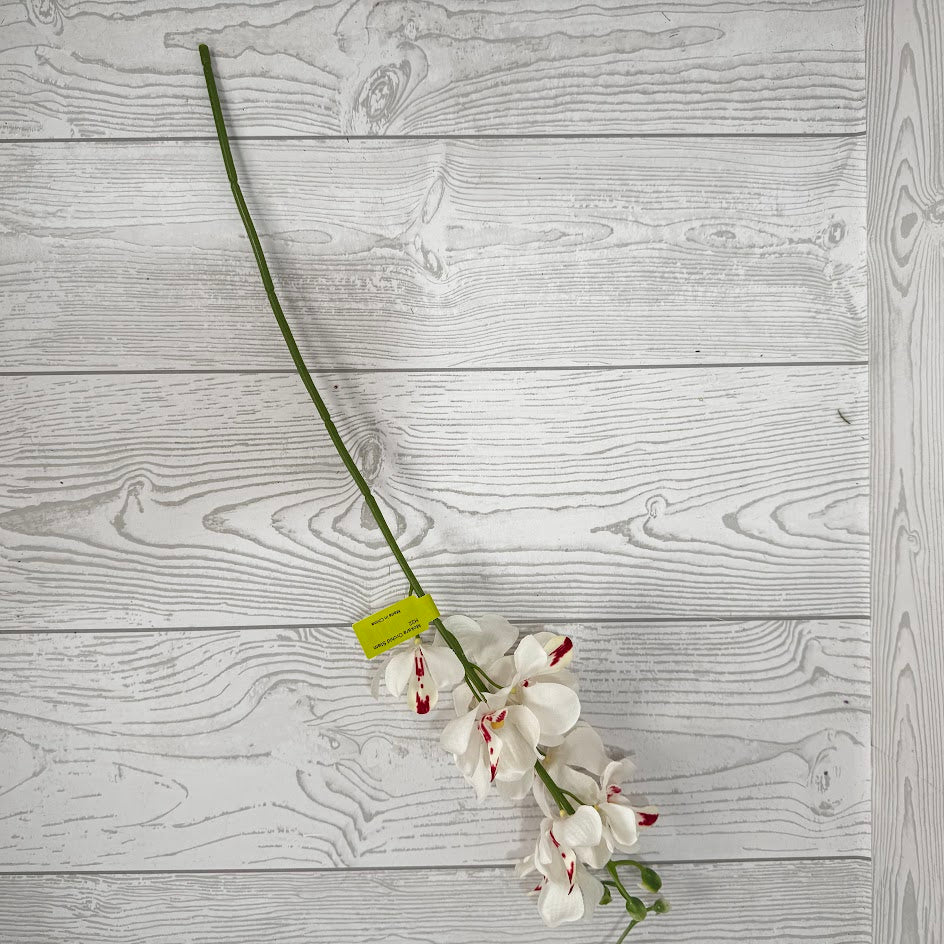 MOKARA ORCHID STEM H22 - CREAM - 64051CM * G