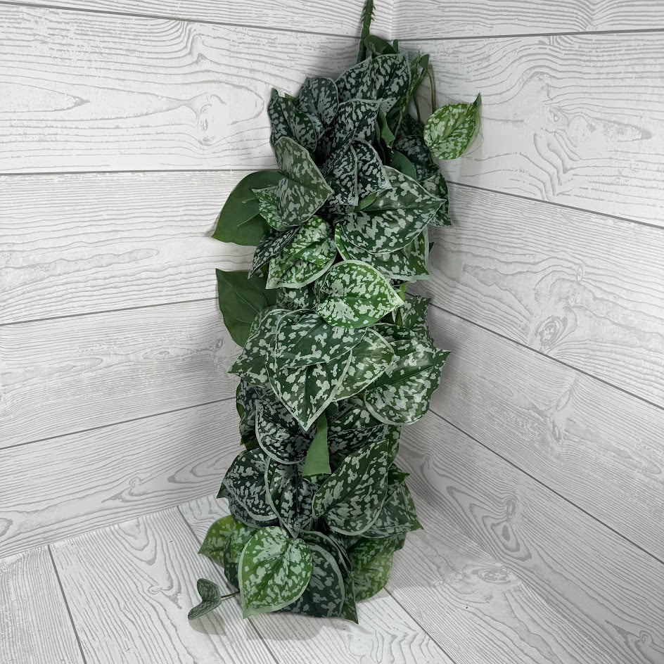 45IN FITTONIA HANGING W 178LVS - 21170 * R/BR