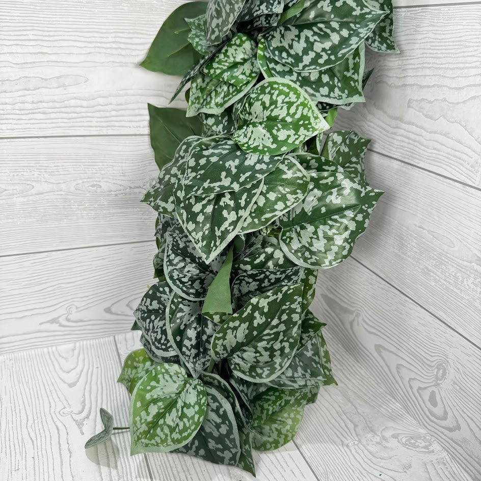 45IN FITTONIA HANGING W 178LVS - 21170 * R/BR