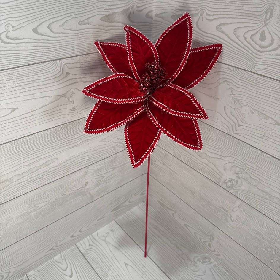 POINSETTIA STEM H25XDIA12 - RED/WHITE - 86802RDWT