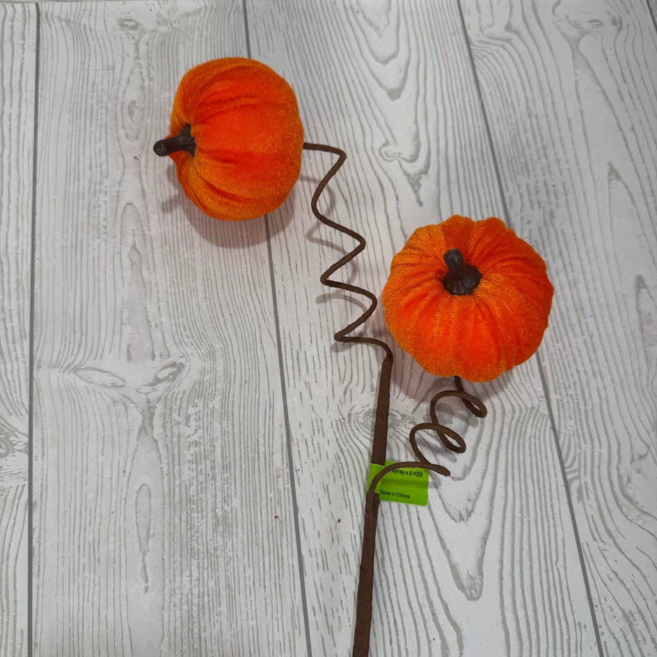PUMPKIN SPRAY X2 H22 - ORANGE - 57146OR * G