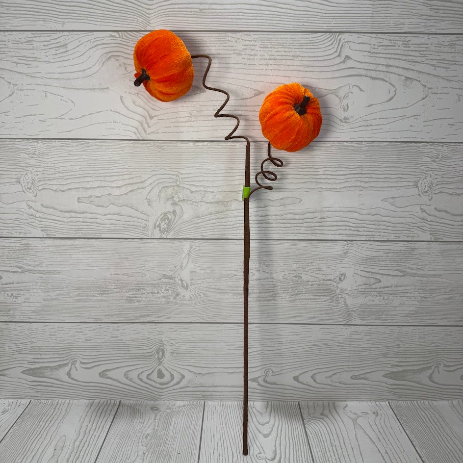 PUMPKIN SPRAY X2 H22 - ORANGE - 57146OR * G