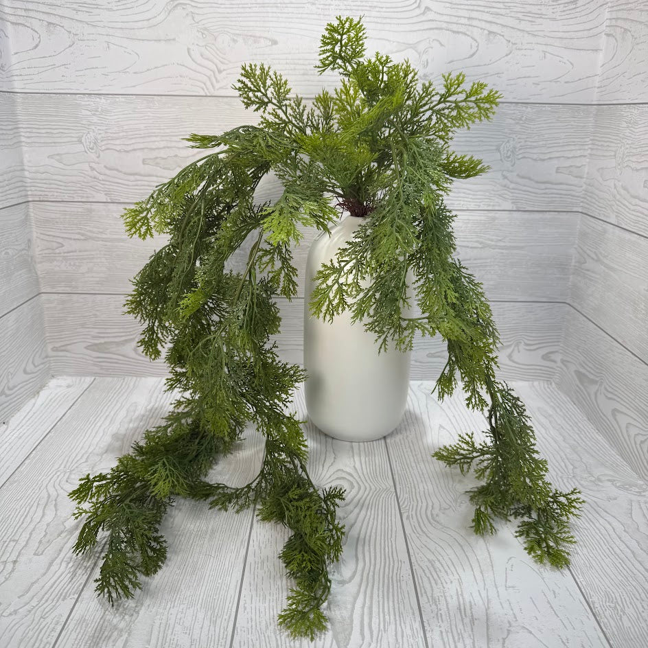 PLS CEDAR HANGN BUSH - GREEN - 15891 * R BR