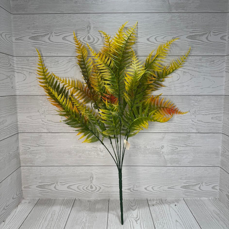 PLS FERN X9 - ORANGE/YELLOW - 58343 * R BR