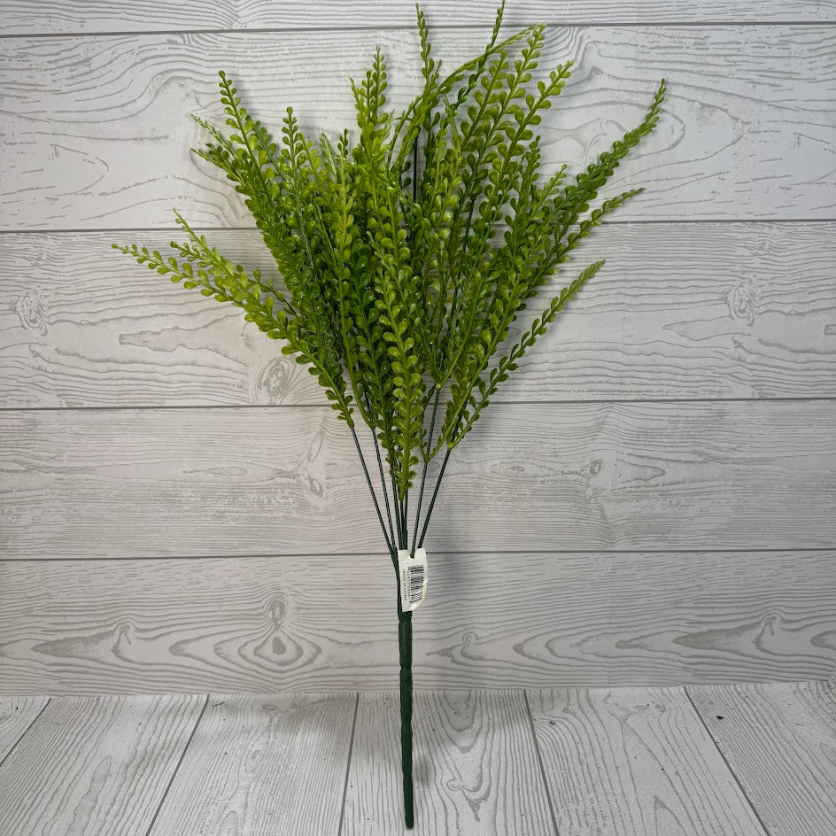 PLS FERN BUSH X7 - GREEN - 59641 * R BR