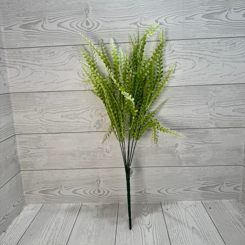 PLS FERN BUSH X7 - CREAM - 59643 * R BR