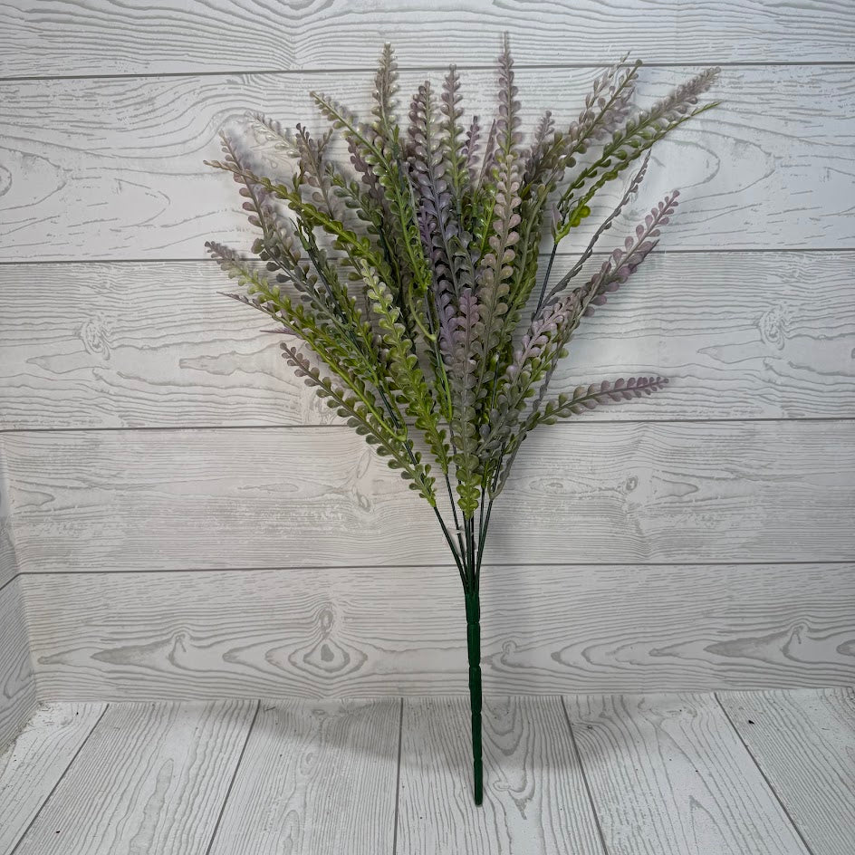 PLS FERN BUSH X7 - PURPLE - 59646 * R BR