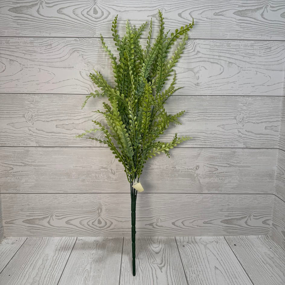 PLS FERN BUSH X7 - FSGREEN - 59642 * R BR