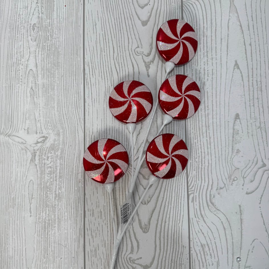 24" CANDY SPRAY - RED/WHITE - 32245-RDWT * G