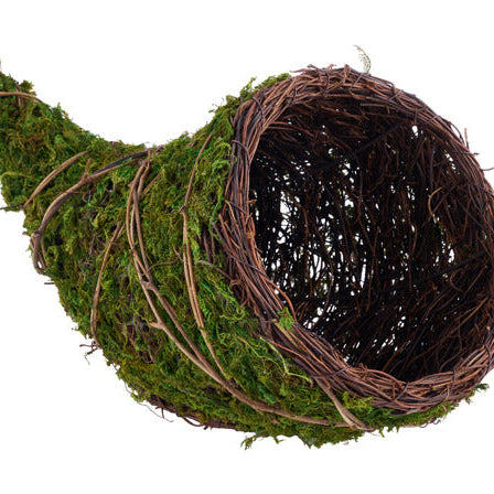 12"L MOSS/VINE CORNUCOPIA - GREEN/NATURAL - KG3243