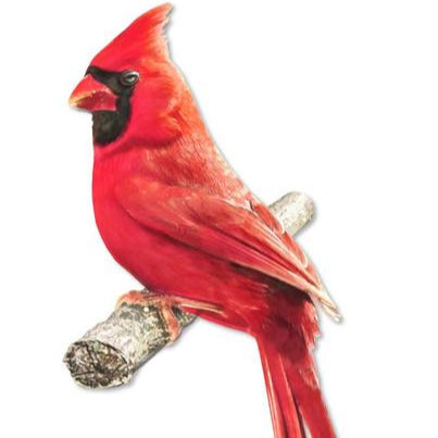 10.5"H METAL/EMBOSSED CARDINAL ON BRANCH - RED/BLACK/GREY - MD0770