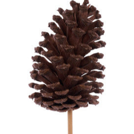 3"3.75"L PINECONE W/ 8"L PICK - NATURAL - XD134418