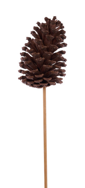 3"3.75"L PINECONE W/ 8"L PICK - NATURAL - XD134418