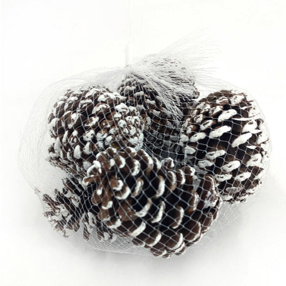 3"-3.75"L PINECONES IN MESH BAG - WHITE TIPPED - XD137027