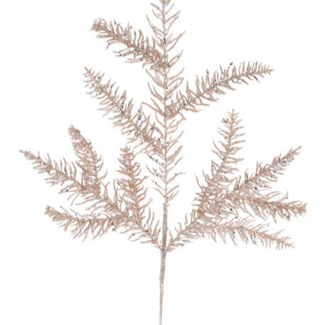 19"L GLITTER NOBLE FIR SPRAY - CHAMPAGNE - XS217149