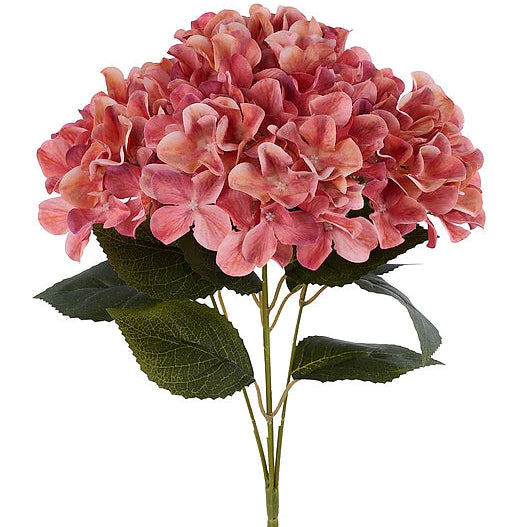 16"L FABRIC HYDRANGEA BUSH X5 - TAN/PEACH - FN175443