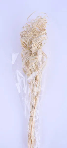 27"L CURLY PALM BUNDLE - BLEACHED - TT305031