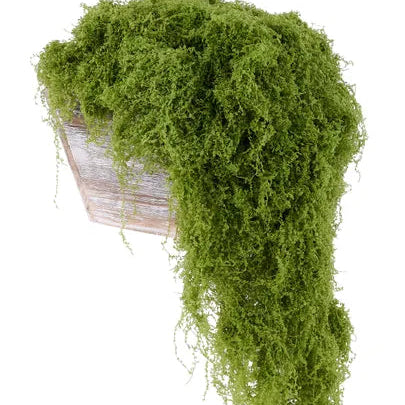 100G FABRIC MOSS IN BAG - LIGHT GREEN - MD175530