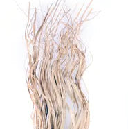 33-34"L MAGDALENA PALM BUNDLE - TT305608