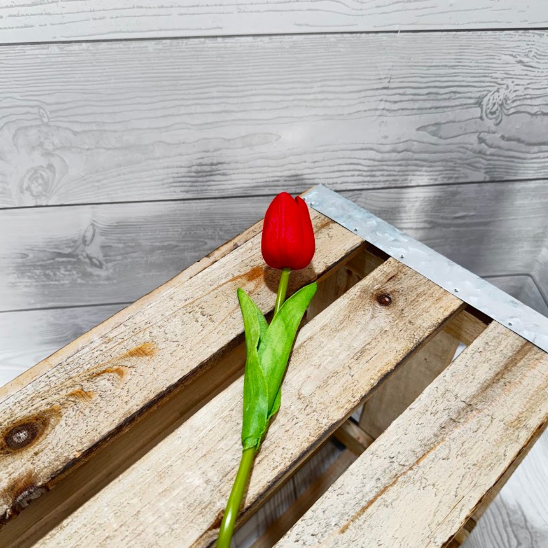SINGLE RED TULIP - 11399B-RD