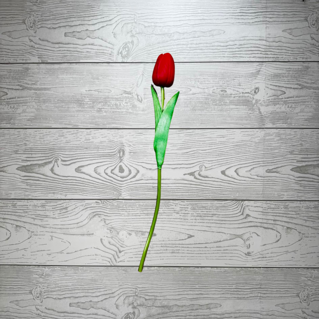 SINGLE RED TULIP - 11399B-RD