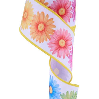 2.5"X10YD DAISIES - MULTI - LS1027RT